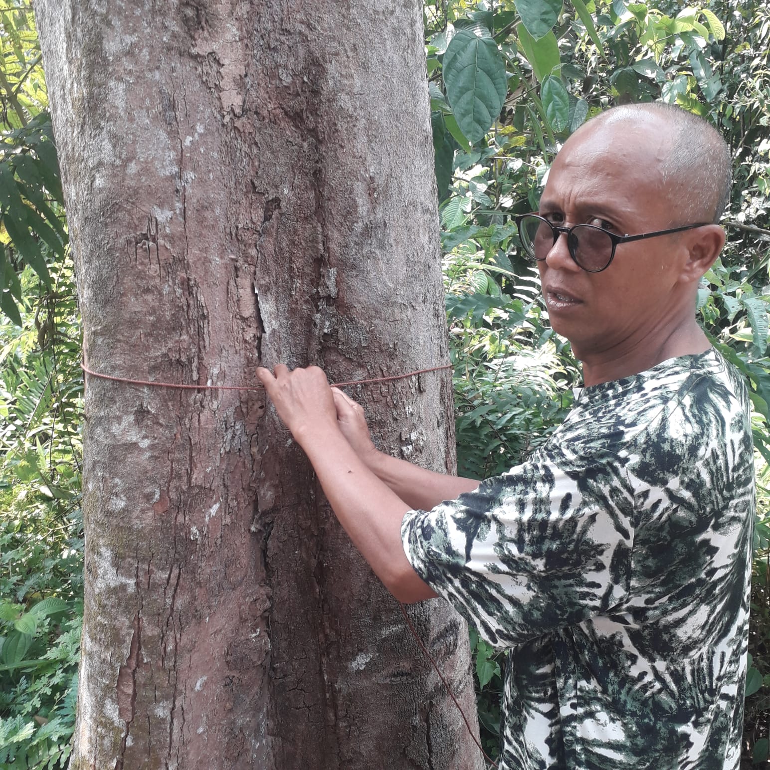 Padang Ulak Tanding Punya Durian Lokal Kualitas Unggul, Durian Merah Salah Satunya