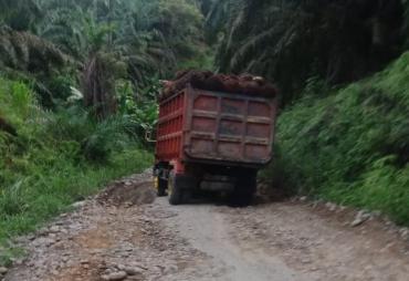 Warga "Ancam Tanam Pohon Pisang Dijalan Poros Penghubung 6 Desa " di Kecamatan Penarik