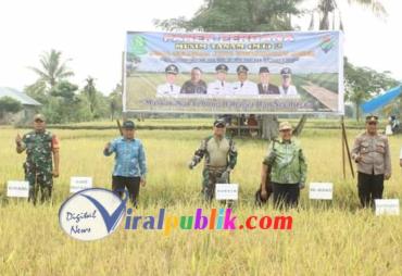 Wabup Lebong Hadiri Panen Perdana MT II Di Desa Selebar Jaya Kecamatan Amen  